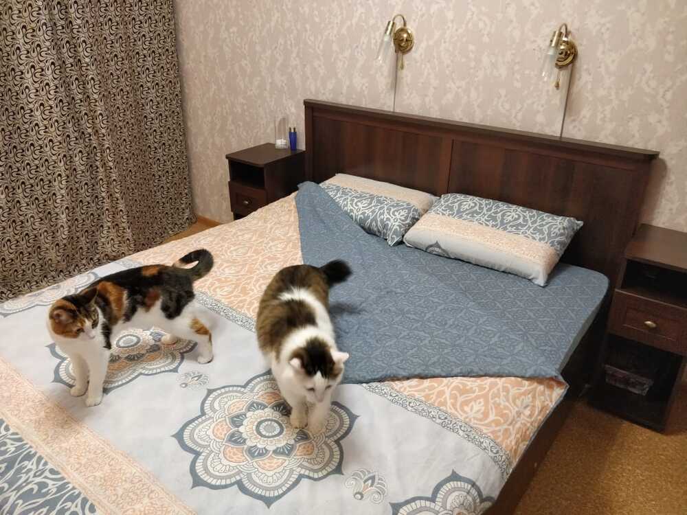 Спальний гарнитур Шерлок орех