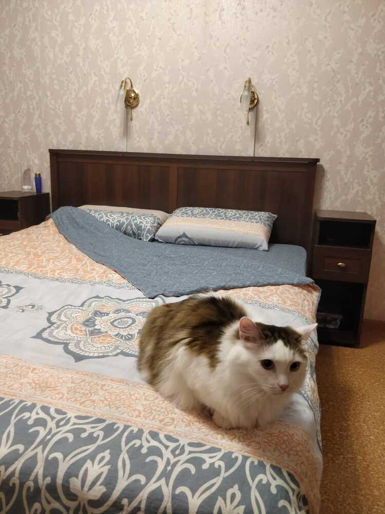 Спальний гарнитур Шерлок орех