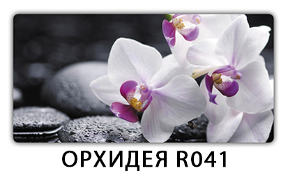 Обеденный стол Паук с фотопечатью узор